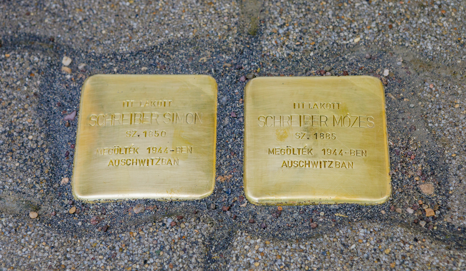 Gunter Demnig úrral botlató (emlék) köveket helyeztünk el az 1944-ben elhurcoltak házai előtt